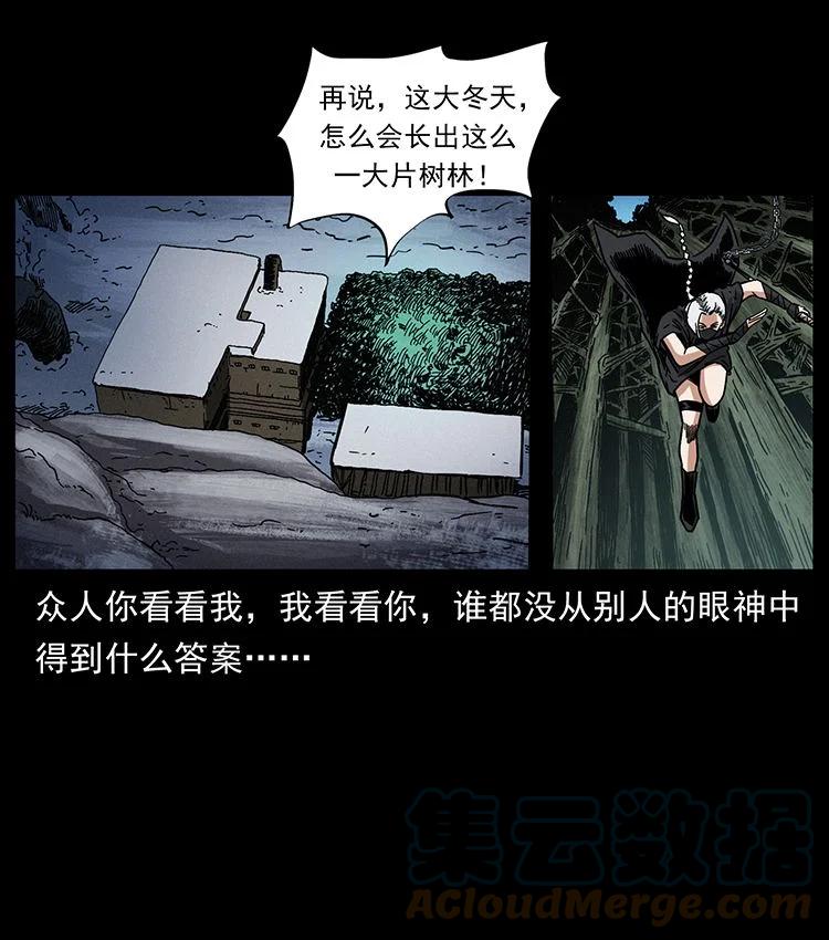 幽冥诡匠 480 萨满来了！ 第19页