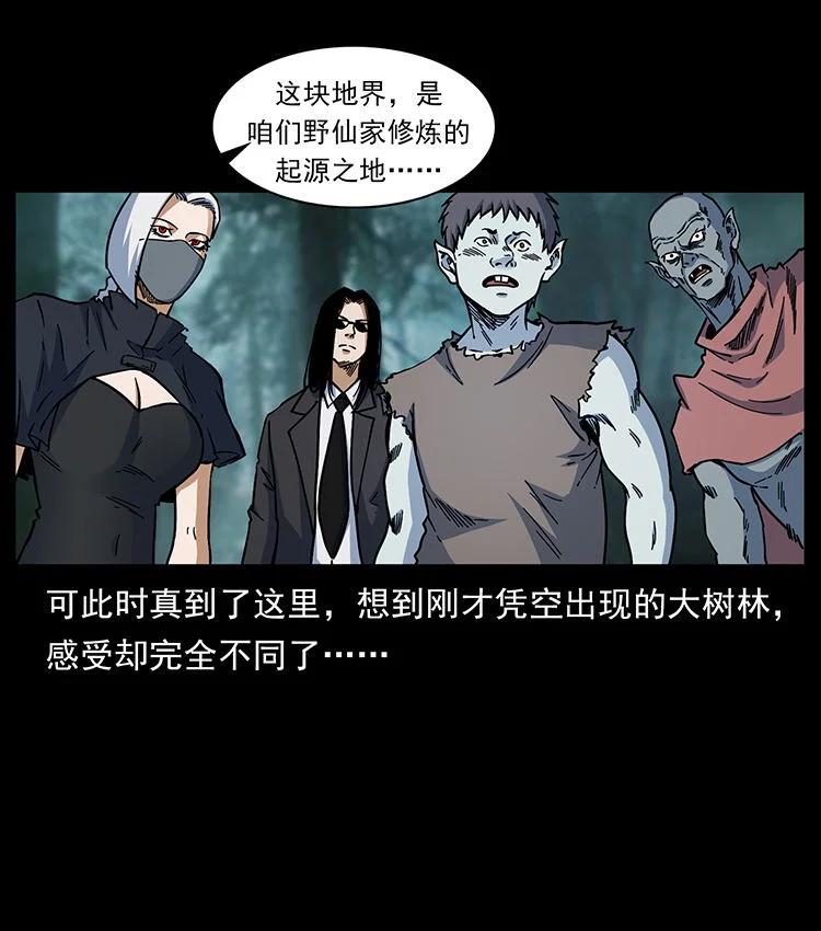 幽冥诡匠 480 萨满来了！ 第53页