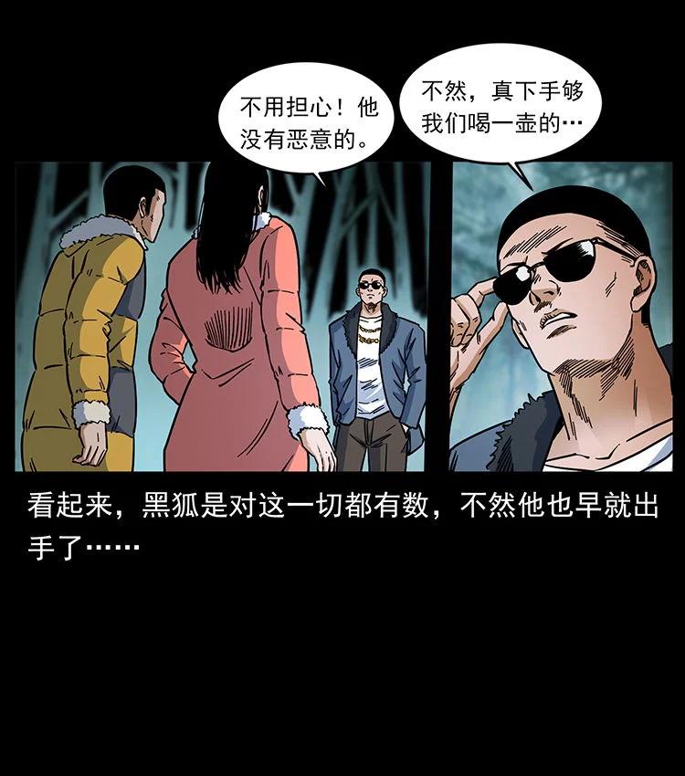 幽冥诡匠 480 萨满来了！ 第50页
