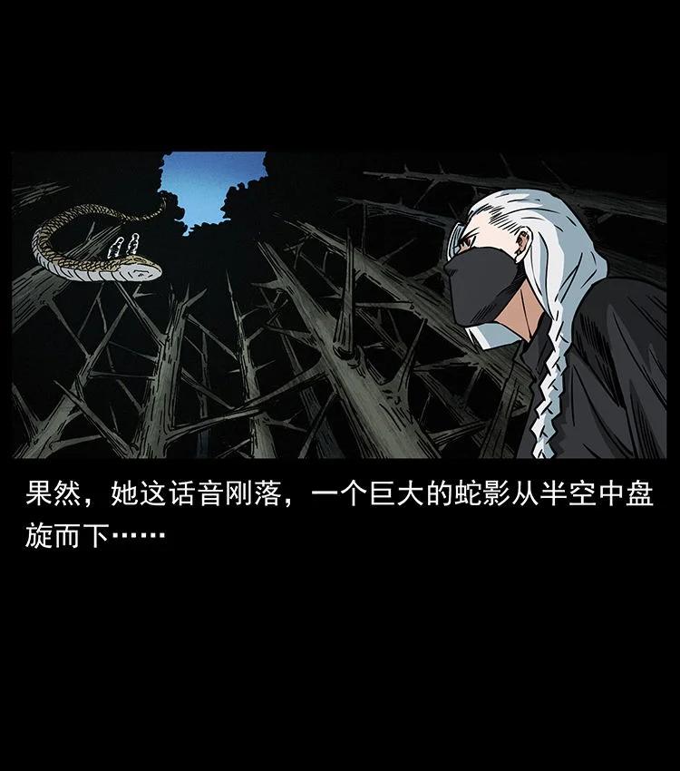 幽冥诡匠 480 萨满来了！ 第24页