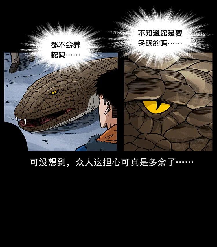 幽冥诡匠 480 萨满来了！ 第29页