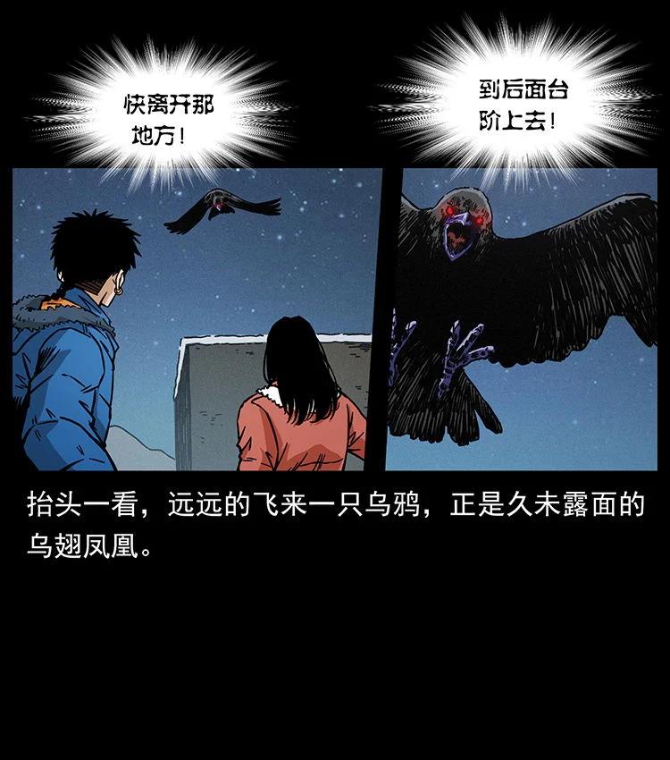 幽冥诡匠 480 萨满来了！ 第12页