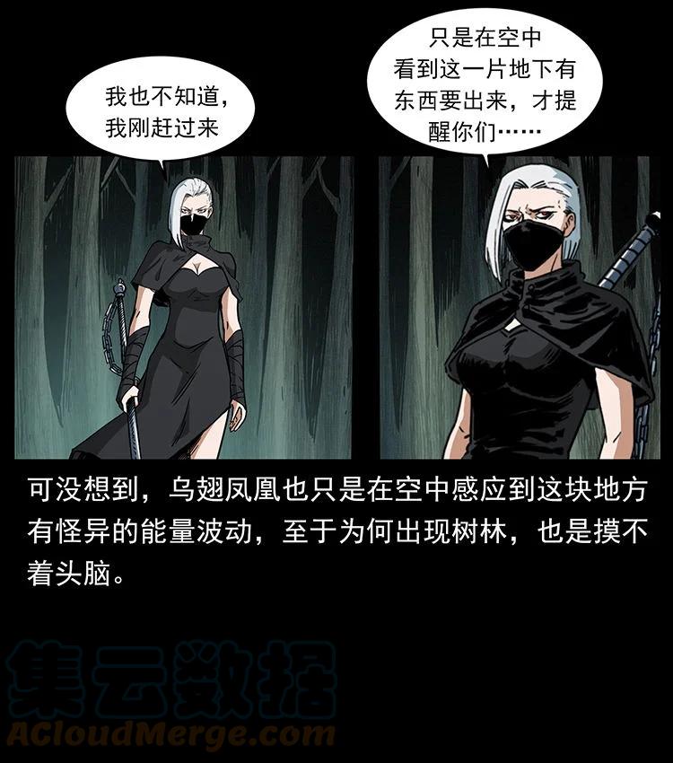 幽冥诡匠 480 萨满来了！ 第22页