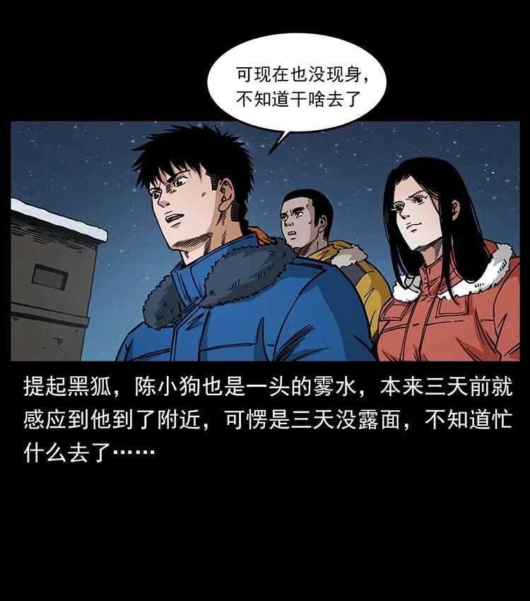 幽冥诡匠 480 萨满来了！ 第8页