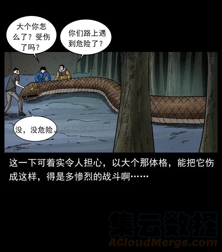 幽冥诡匠 480 萨满来了！ 第28页