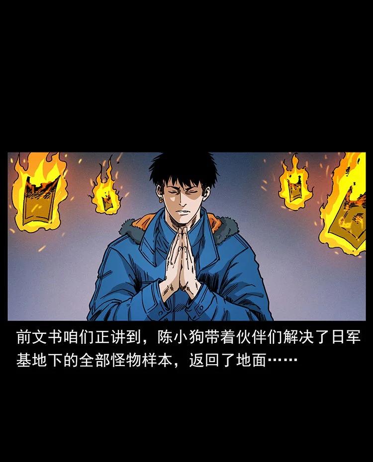 幽冥诡匠 480 萨满来了！ 第2页
