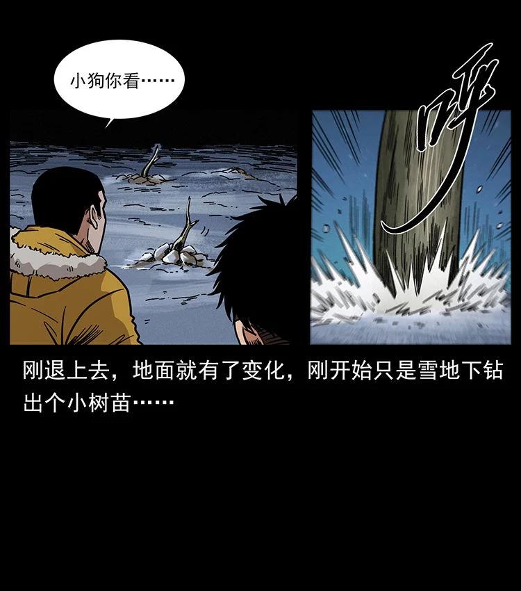 幽冥诡匠 480 萨满来了！ 第14页
