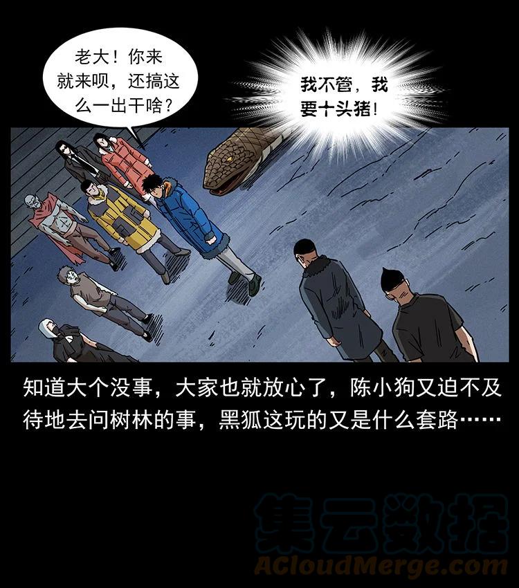 幽冥诡匠 480 萨满来了！ 第31页