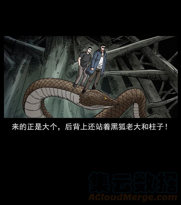幽冥诡匠 480 萨满来了！ 第25页