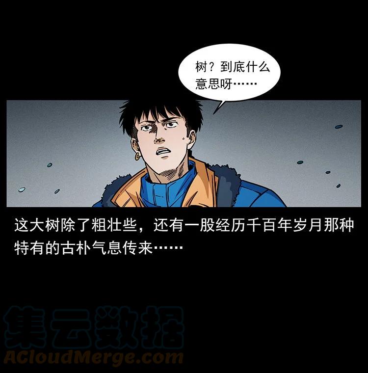 幽冥诡匠 481 树 第31页