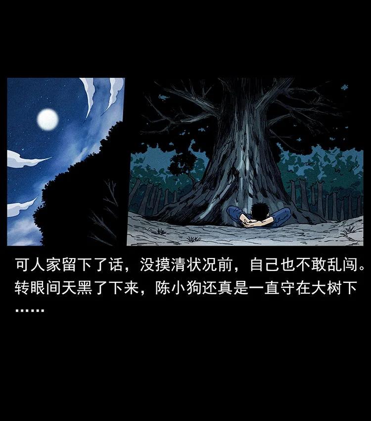 幽冥诡匠 481 树 第36页
