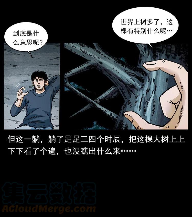 幽冥诡匠 481 树 第37页