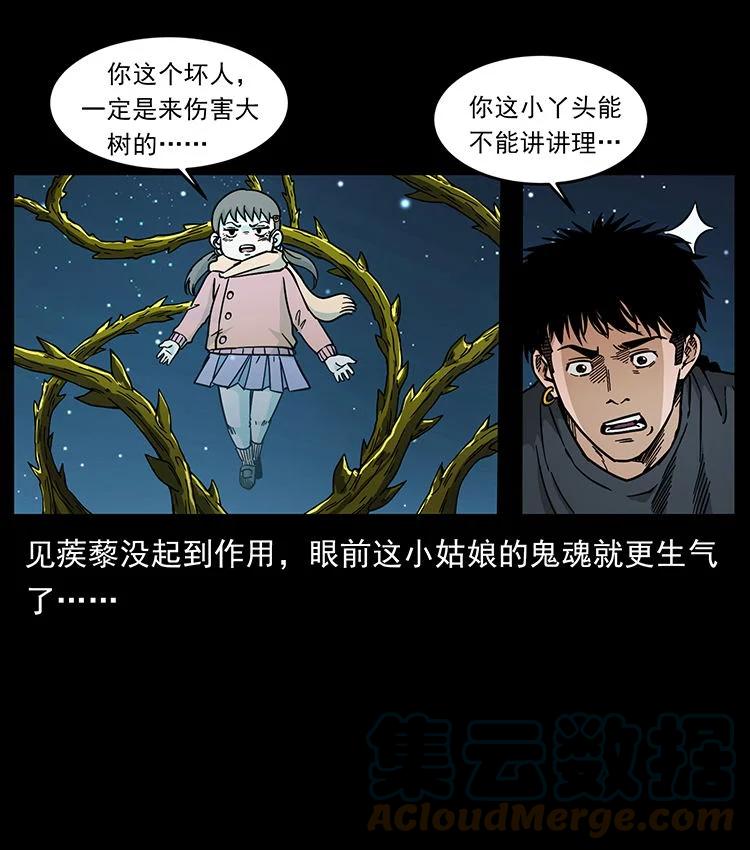 幽冥诡匠 481 树 第58页