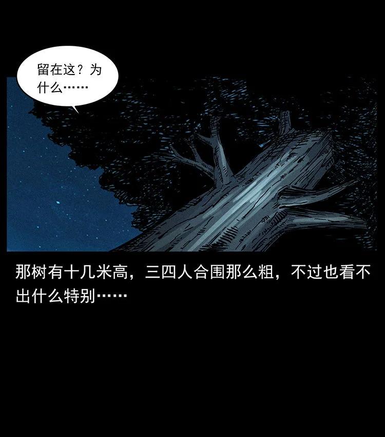 幽冥诡匠 481 树 第18页