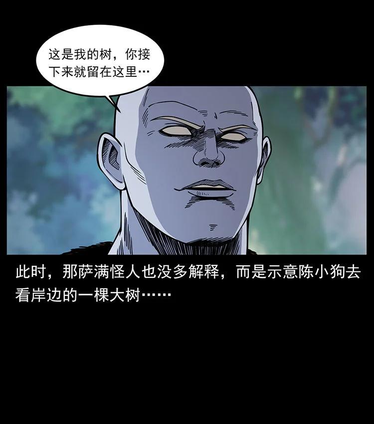 幽冥诡匠 481 树 第17页