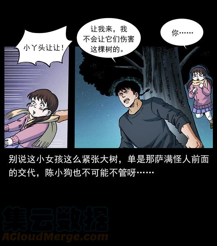 幽冥诡匠 481 树 第43页