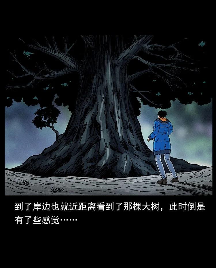 幽冥诡匠 481 树 第30页