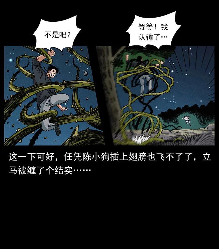幽冥诡匠 481 树 第66页