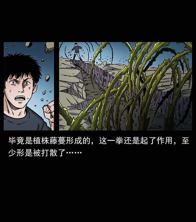 幽冥诡匠 481 树 第63页