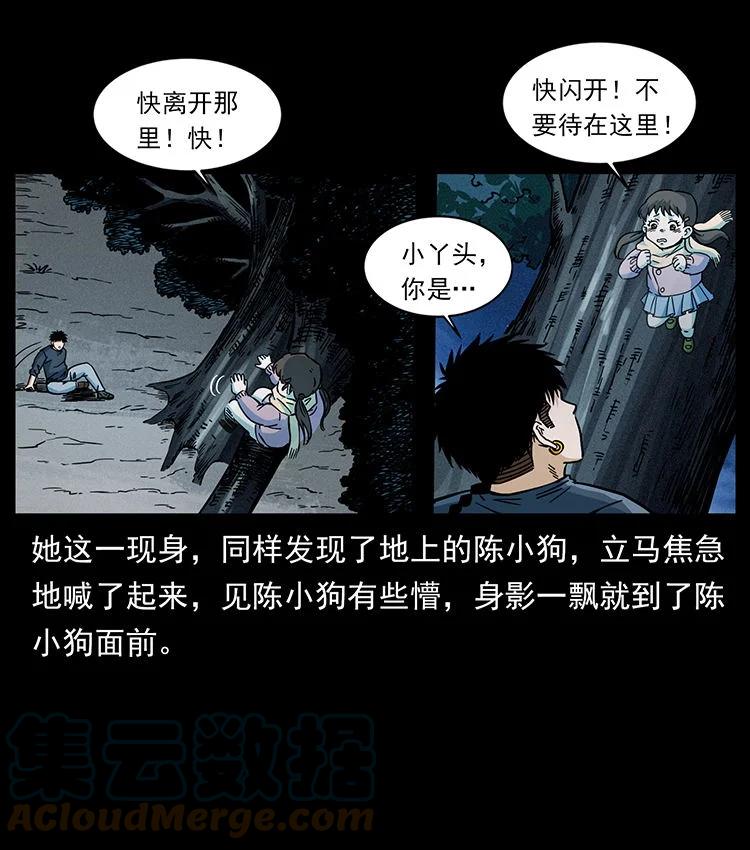幽冥诡匠 481 树 第40页