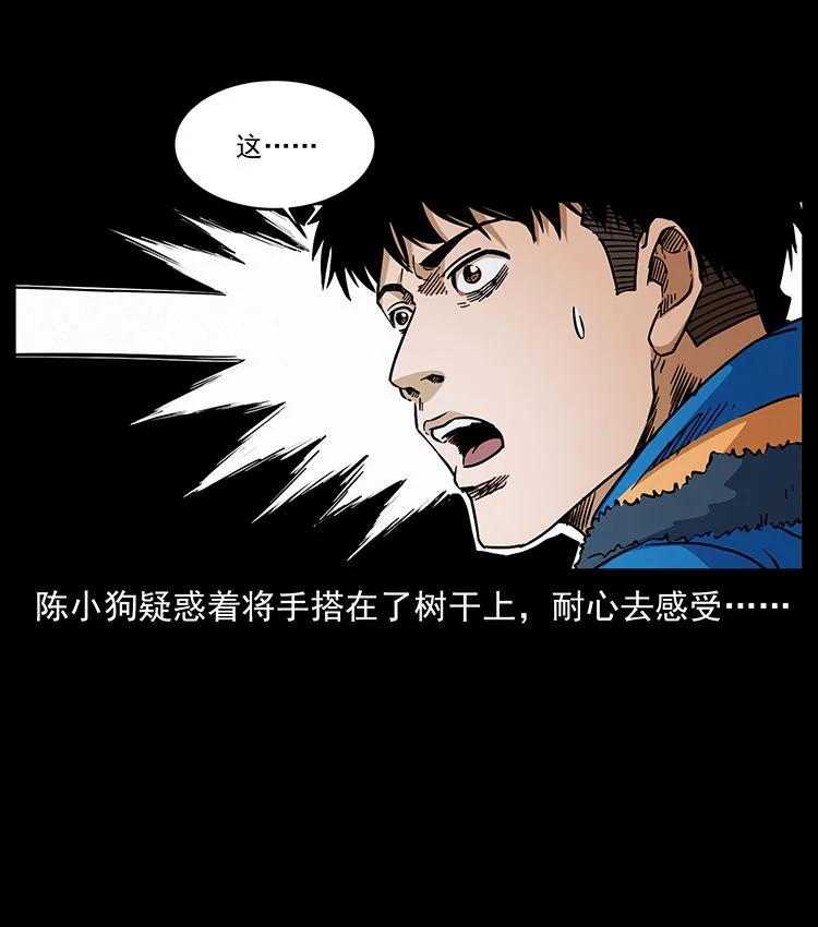 幽冥诡匠 481 树 第33页