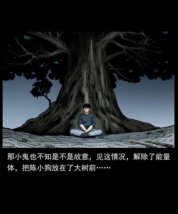 幽冥诡匠 482 以树为启点 第60页