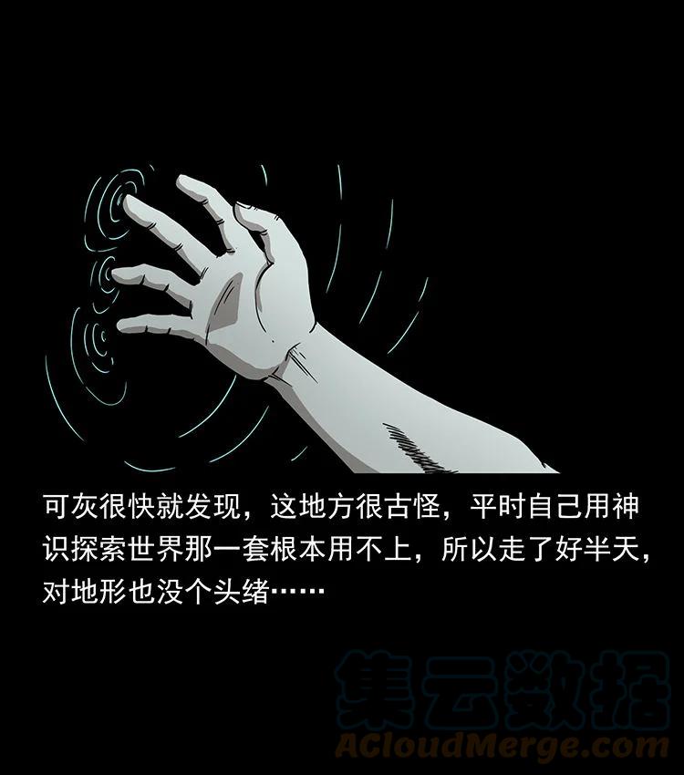 幽冥诡匠 482 以树为启点 第13页