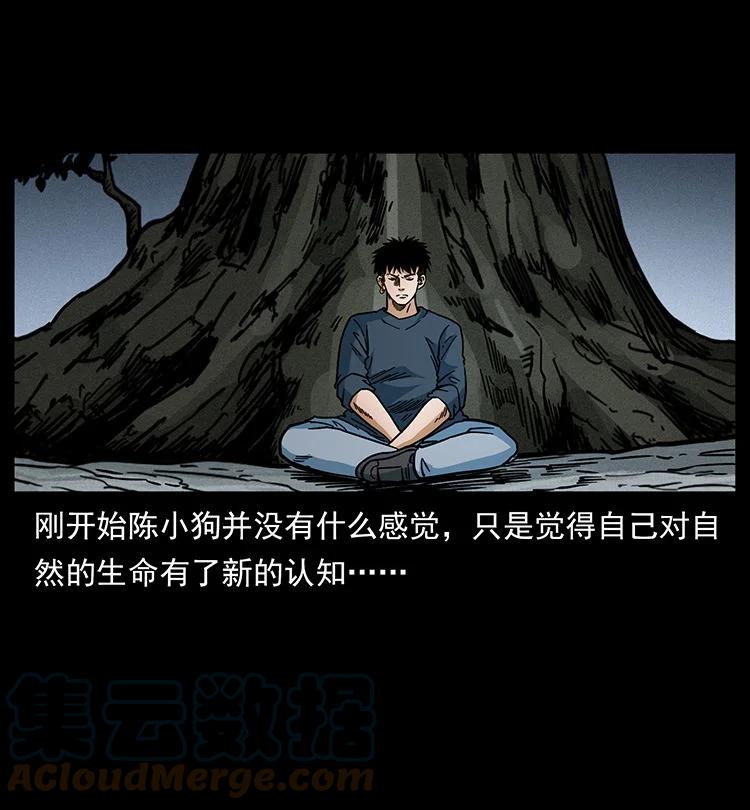 幽冥诡匠 482 以树为启点 第61页