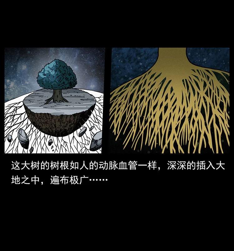 幽冥诡匠 482 以树为启点 第74页