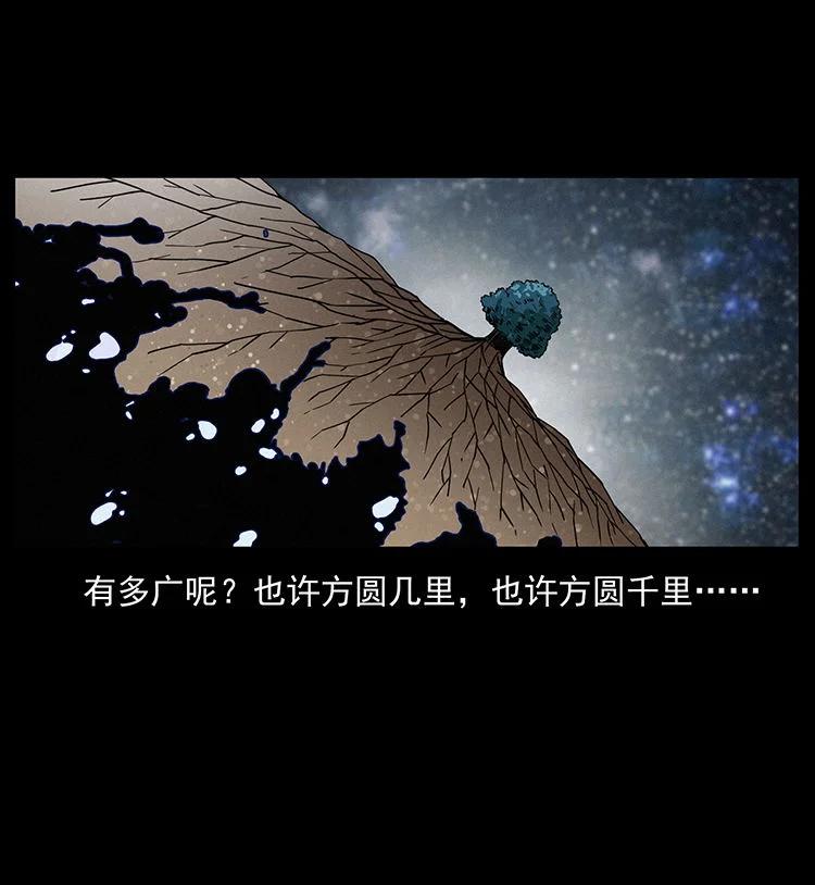 幽冥诡匠 482 以树为启点 第75页