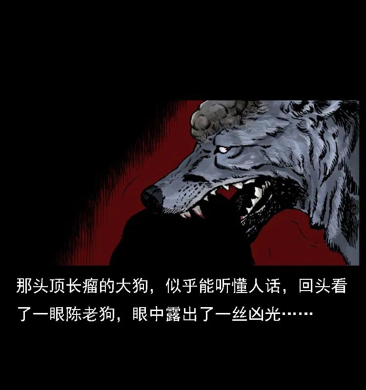 幽冥诡匠 004 猫妖 第66页