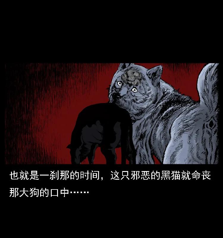 幽冥诡匠 004 猫妖 第63页