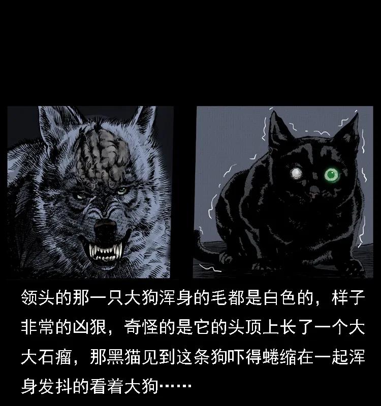 幽冥诡匠 004 猫妖 第60页