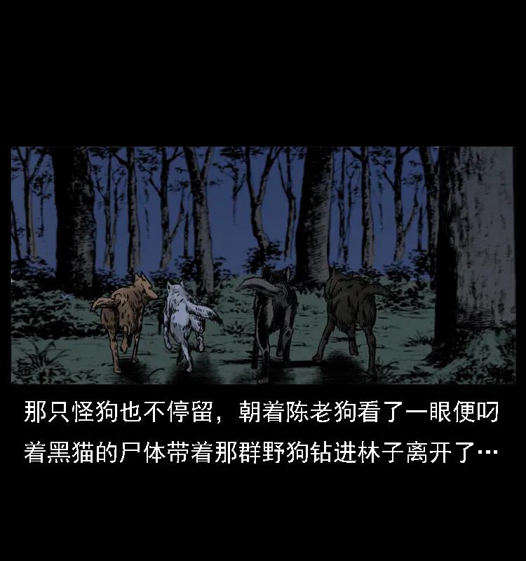 幽冥诡匠 004 猫妖 第64页