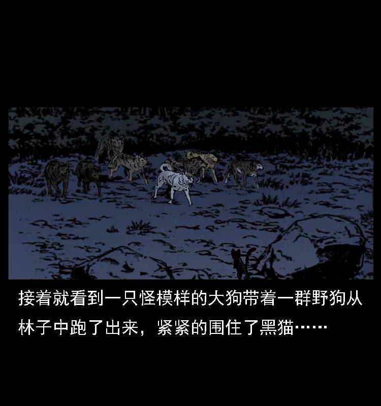 幽冥诡匠 004 猫妖 第59页