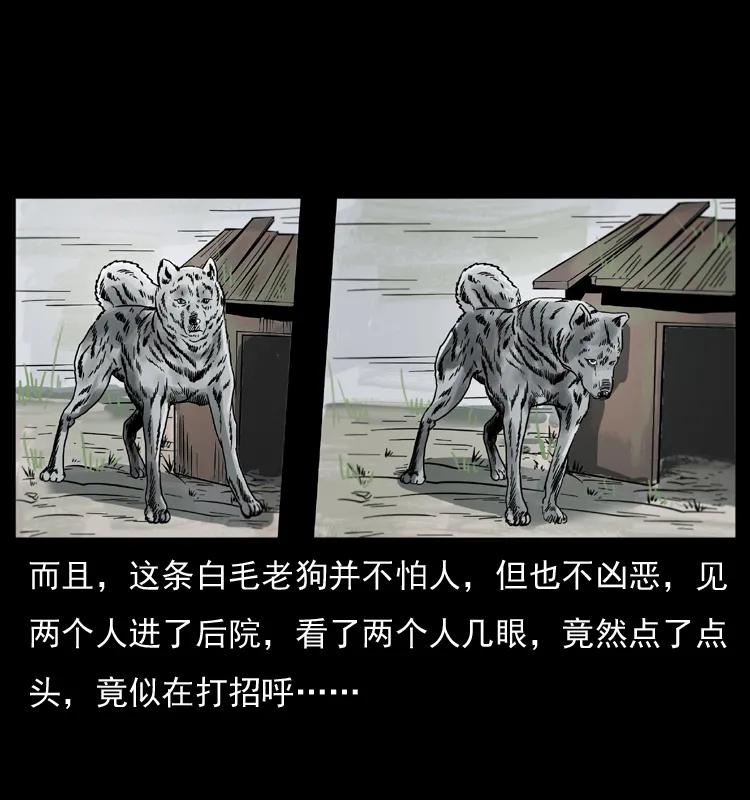 幽冥诡匠 048 刨尸狗传奇1 第22页