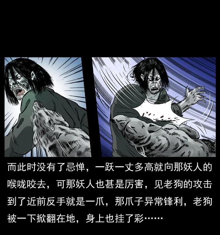 幽冥诡匠 048 刨尸狗传奇1 第51页