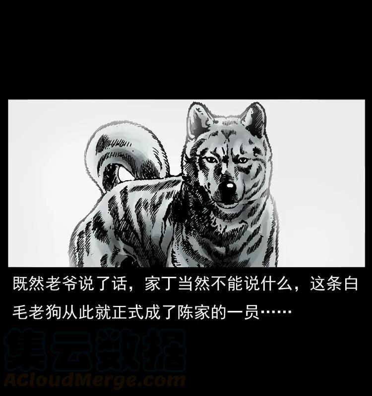 幽冥诡匠 048 刨尸狗传奇1 第25页