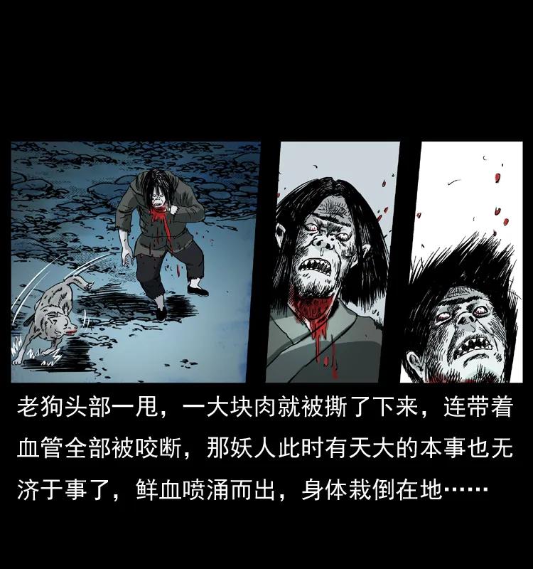 幽冥诡匠 048 刨尸狗传奇1 第56页