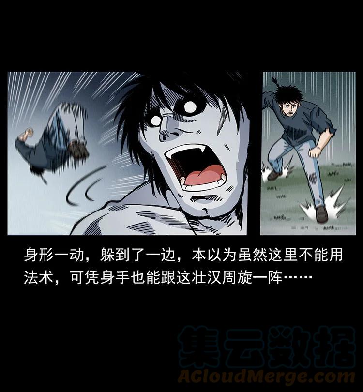 幽冥诡匠 483 伐树 第10页