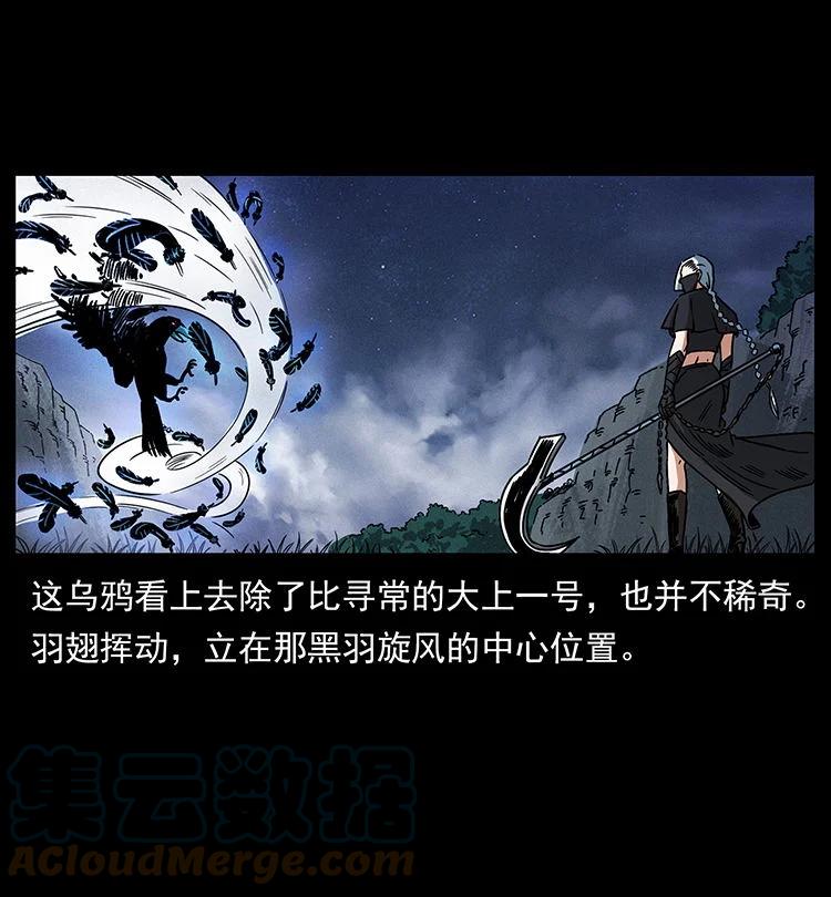 幽冥诡匠 484 极地鸦族 第22页