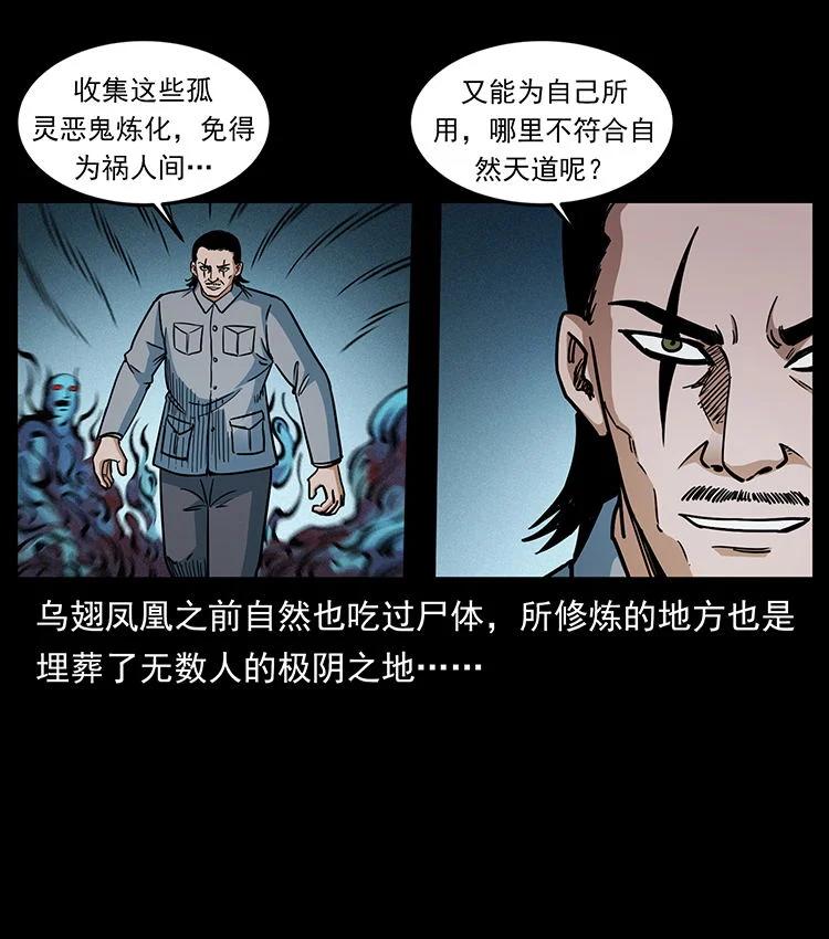 幽冥诡匠 484 极地鸦族 第69页