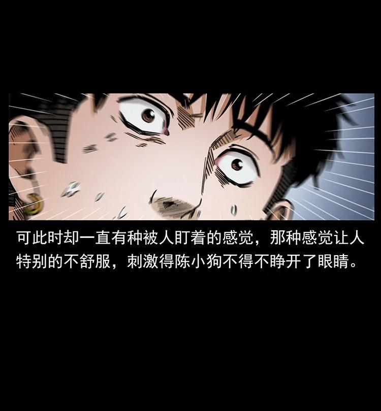 幽冥诡匠 484 极地鸦族 第86页