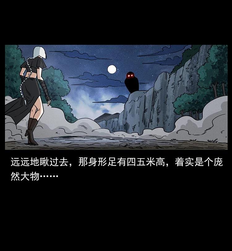 幽冥诡匠 484 极地鸦族 第45页