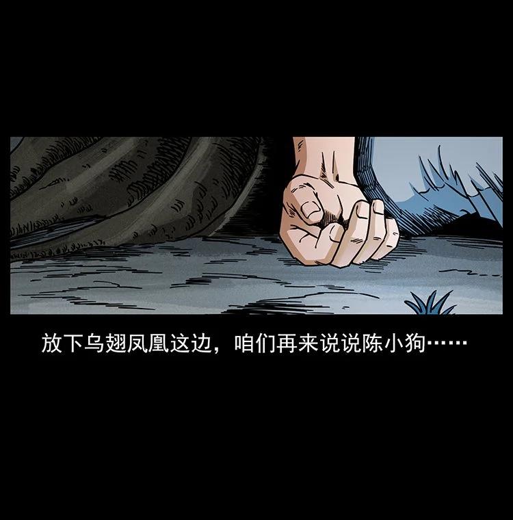 幽冥诡匠 484 极地鸦族 第84页