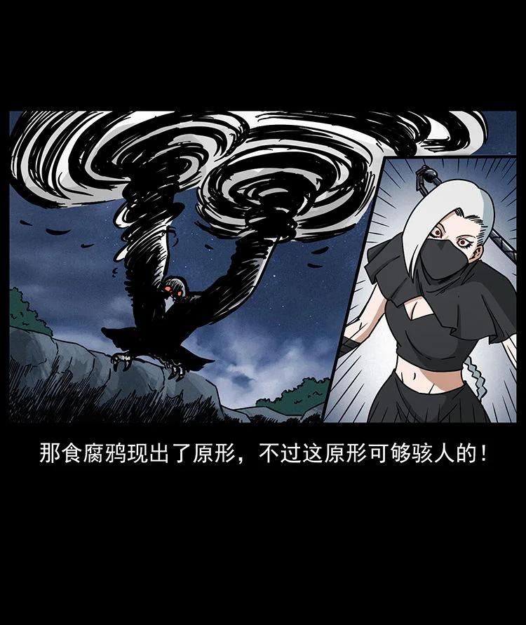 幽冥诡匠 484 极地鸦族 第44页
