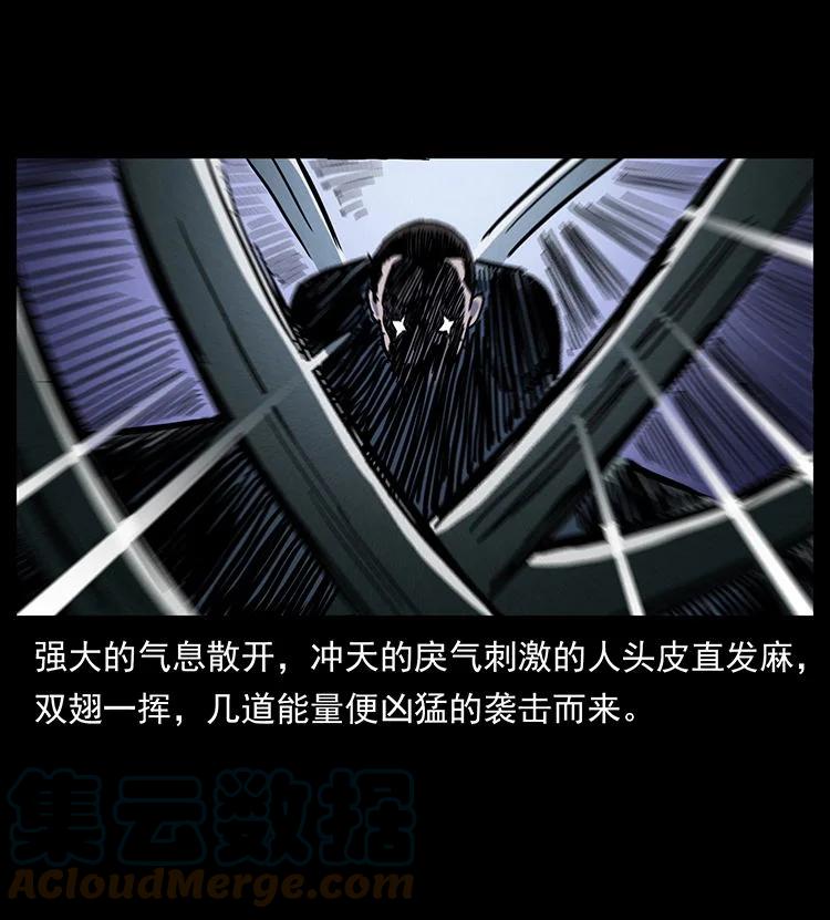 幽冥诡匠 484 极地鸦族 第49页