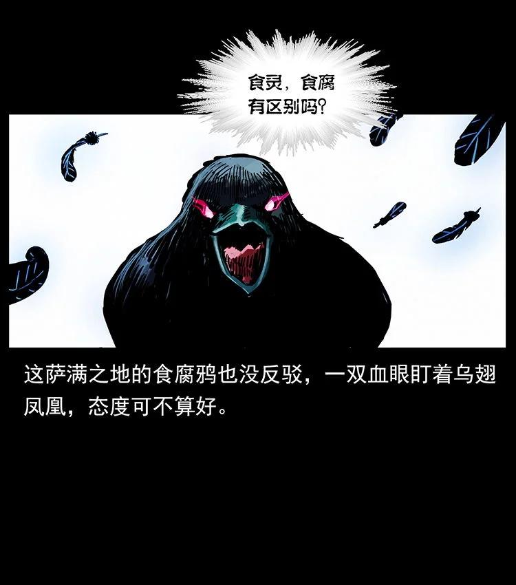 幽冥诡匠 484 极地鸦族 第24页