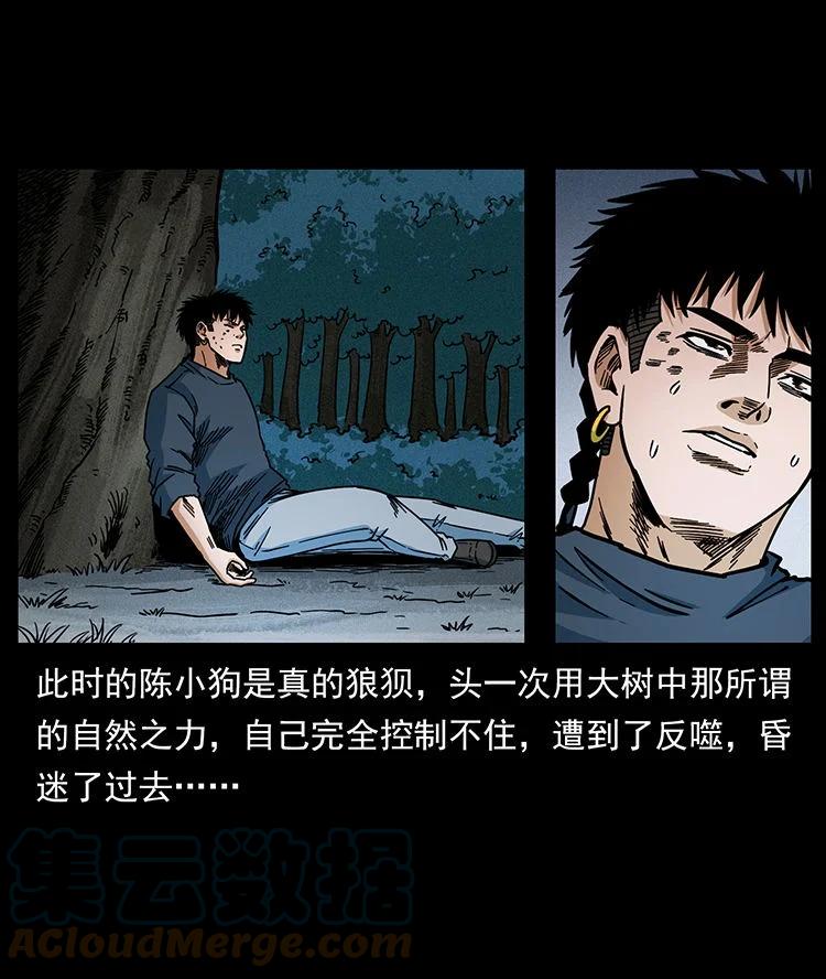 幽冥诡匠 484 极地鸦族 第85页