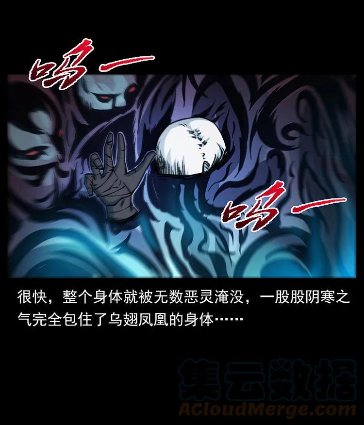 幽冥诡匠 484 极地鸦族 第67页